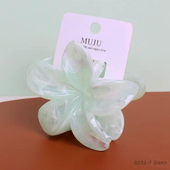 Petite pince à cheveux tipanier marbé transparent