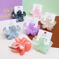 Petite pince à cheveux tipanier marbé transparent