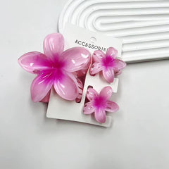 Set de pince à cheveux tipanier (3 pc)