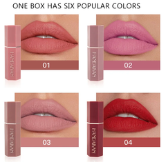 Rouge à lèvres mat - effet velours