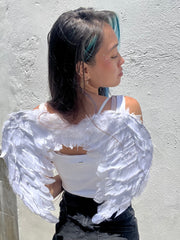 Ailes d'ange et de démon