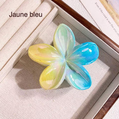 Petite pince à cheveux tipanier