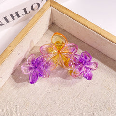 Grande pince à cheveux tipanier dégradé