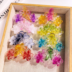 Grande pince à cheveux tipanier dégradé