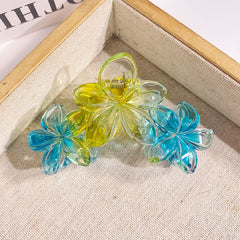 Grande pince à cheveux tipanier dégradé