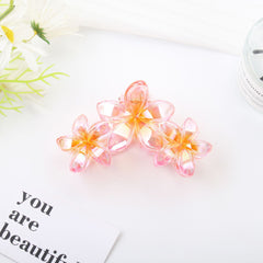 Grande pince à cheveux Tipanier Transparent