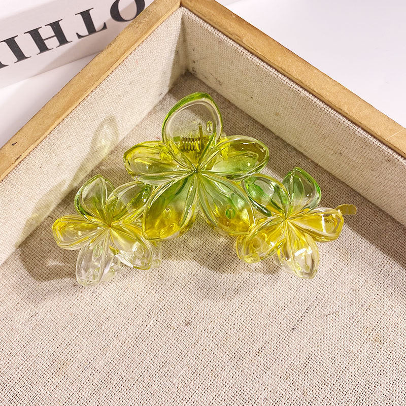 Grande pince à cheveux tipanier dégradé