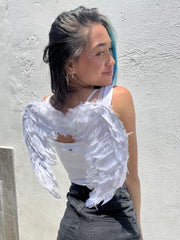 Ailes d'ange et de démon