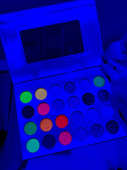Maxi palette neon
